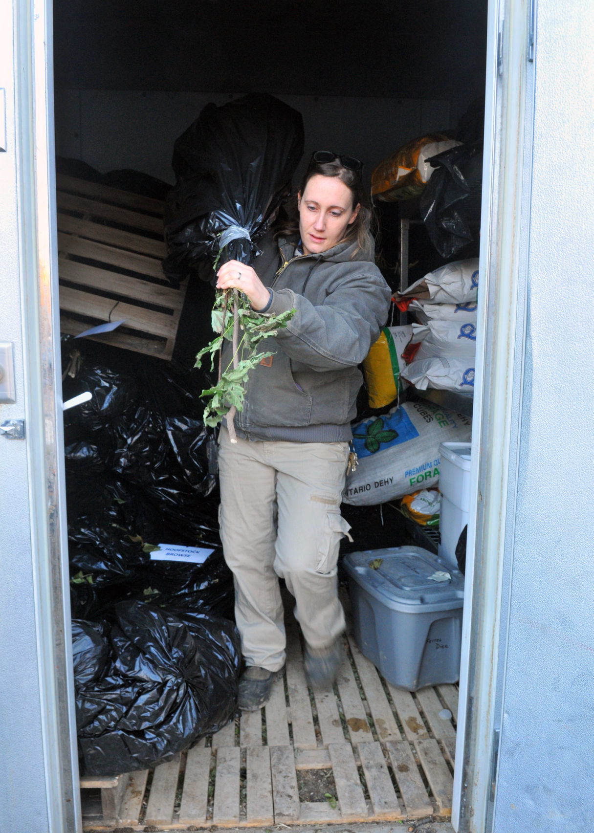 Progress: Niabi Zoo, zoo keeper